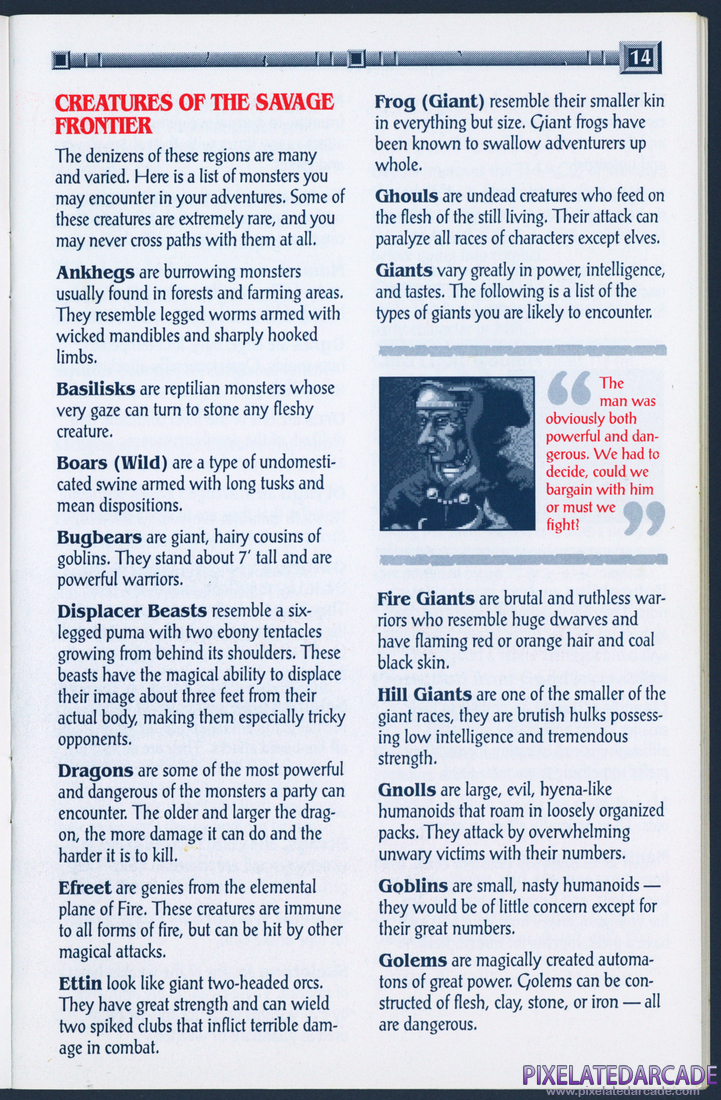 Gateway to the Savage Frontier: Adventurer's Journal - Page 14