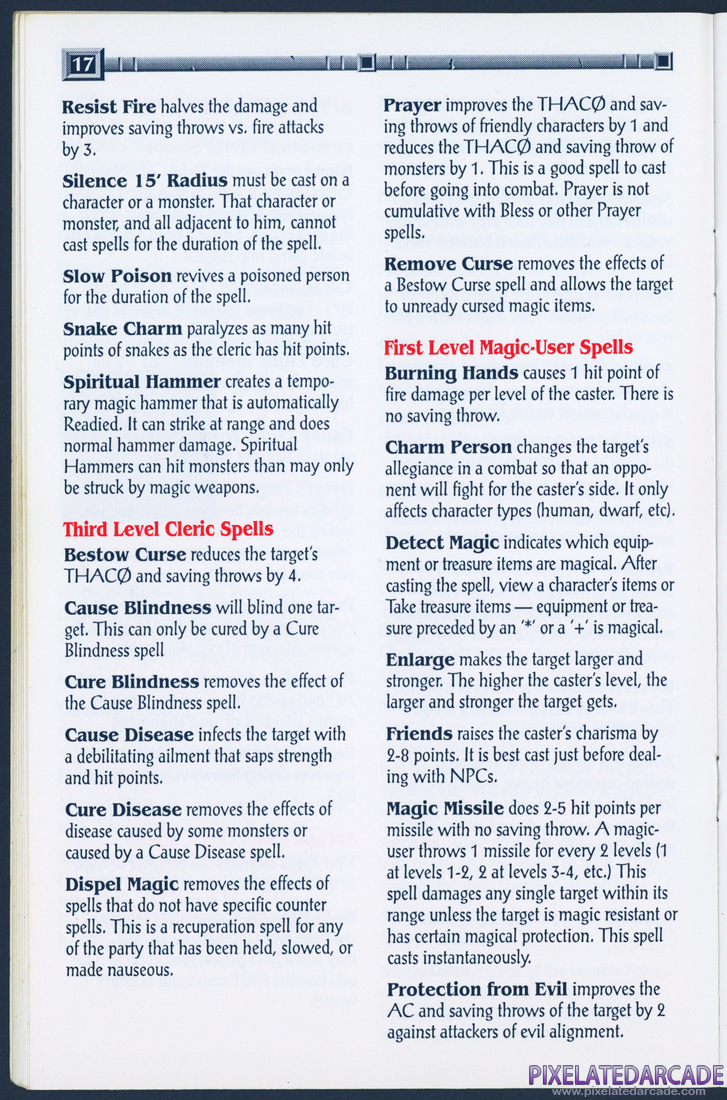 Gateway to the Savage Frontier: Adventurer's Journal - Page 17