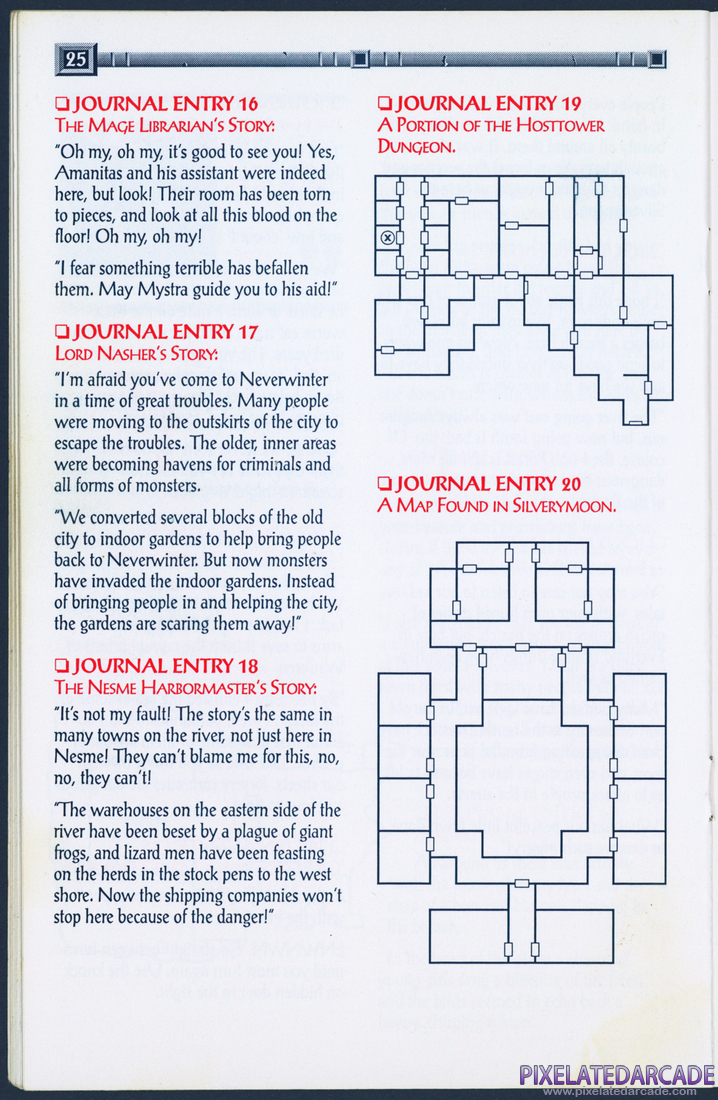 Gateway to the Savage Frontier: Adventurer's Journal - Page 25