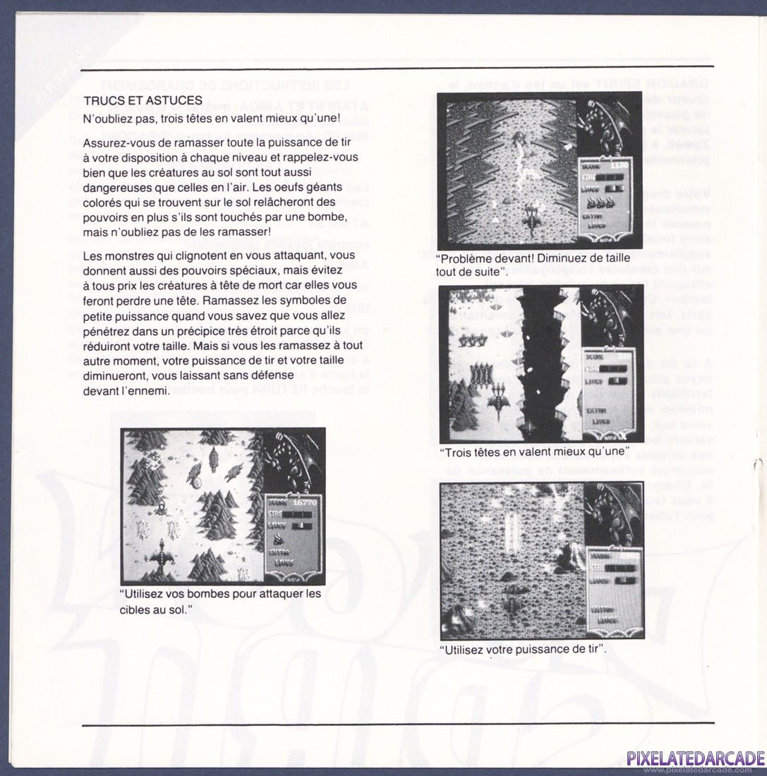 Dragon Spirit: Instruction Manual - Page 9
