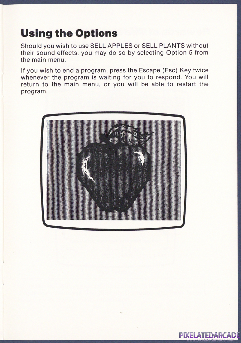 The Market Place: Instruction Manual - Page 13