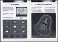 Pages 5 - 6
