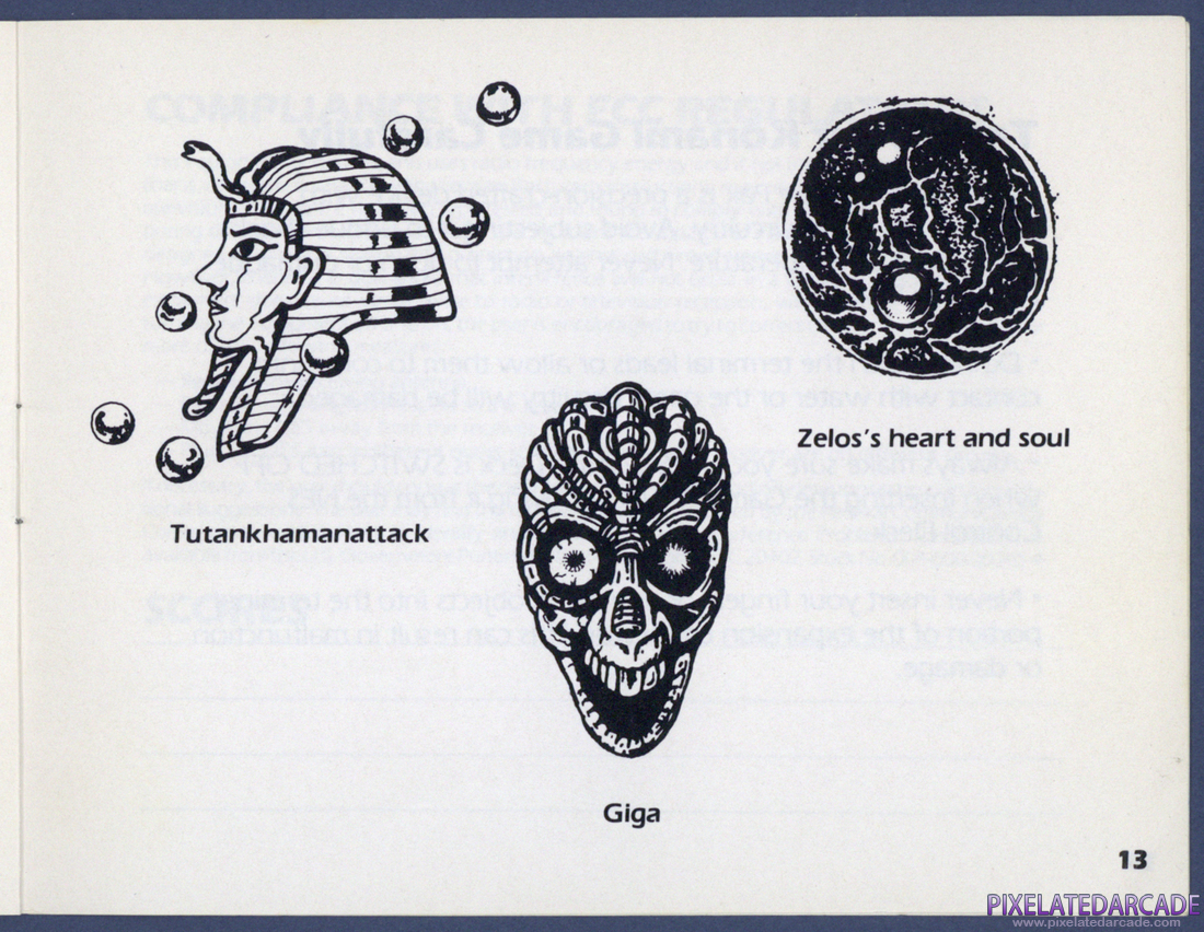 Life Force: Instruction Manual - Page 13