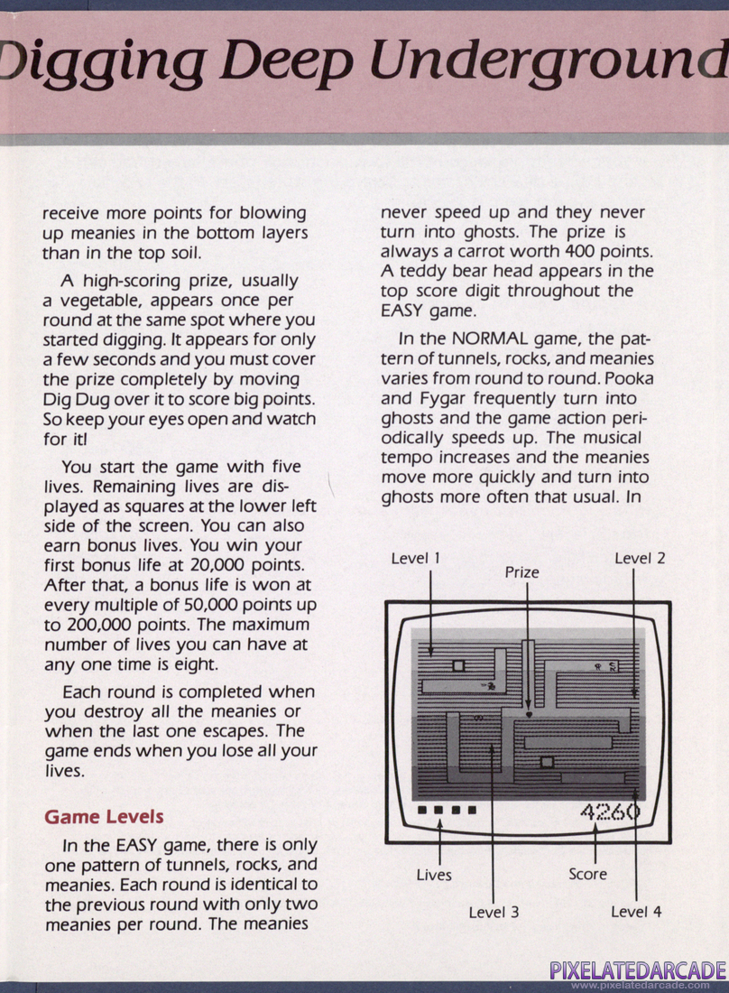 Dig Dug: Instruction Manual - Page 2