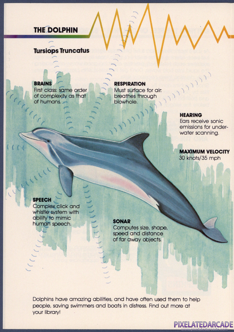 Dolphin: Instruction Manual - Page 6