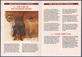 Pages 1 - 2
