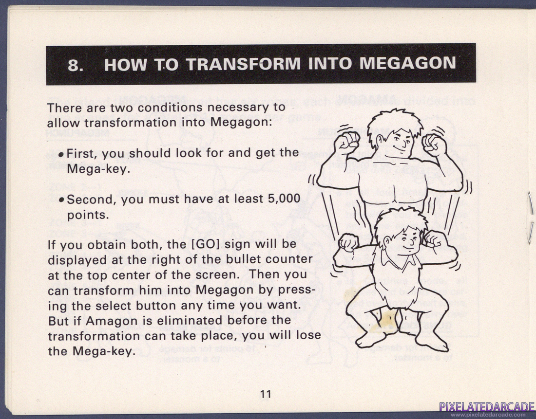 Amagon: Instruction Manual - Page 11