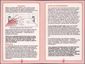 Pages 8 - 9