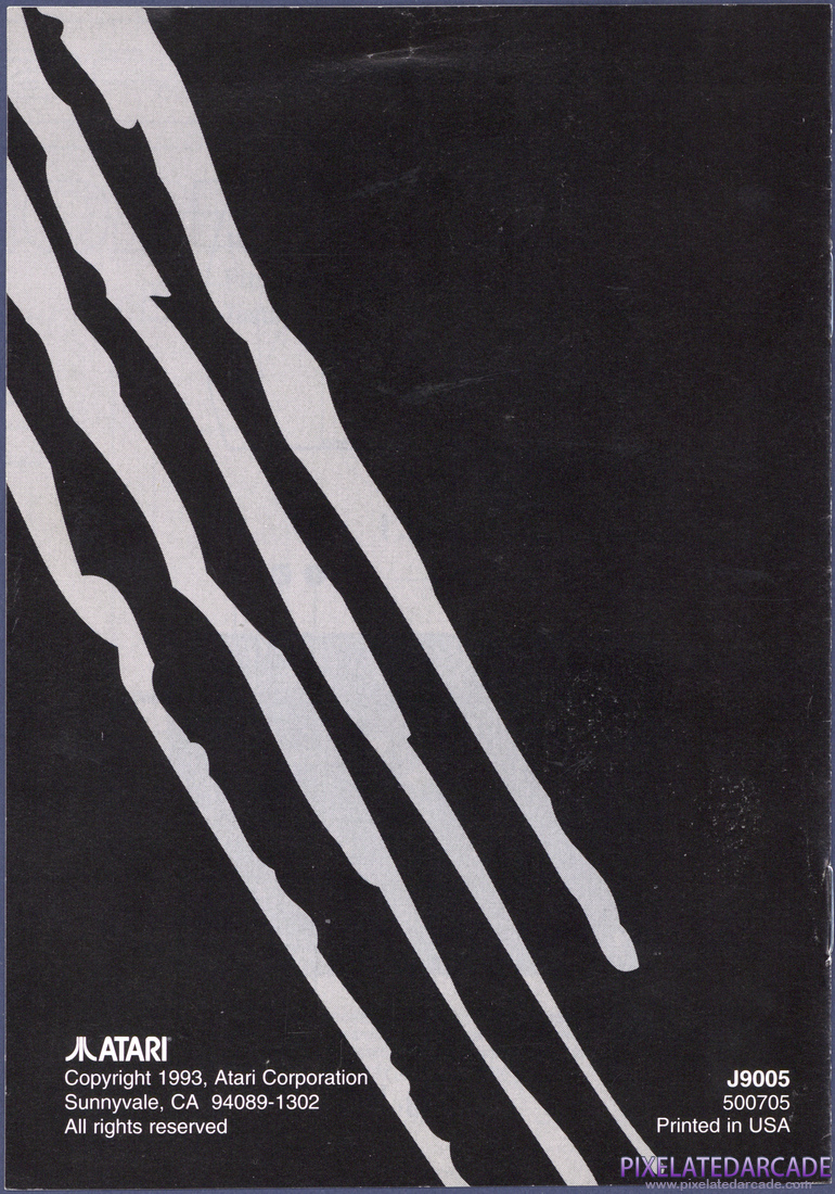 Raiden: Instruction Manual - Page 8