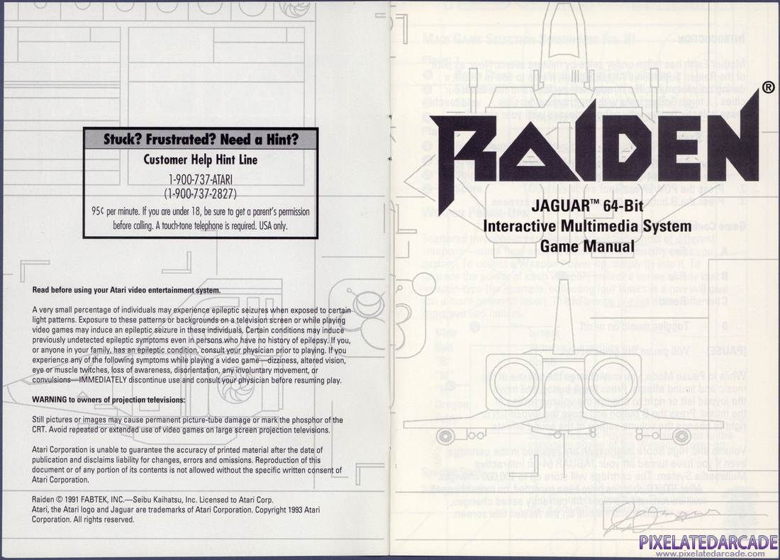 Raiden: Instruction Manual - Pages 2 - 3