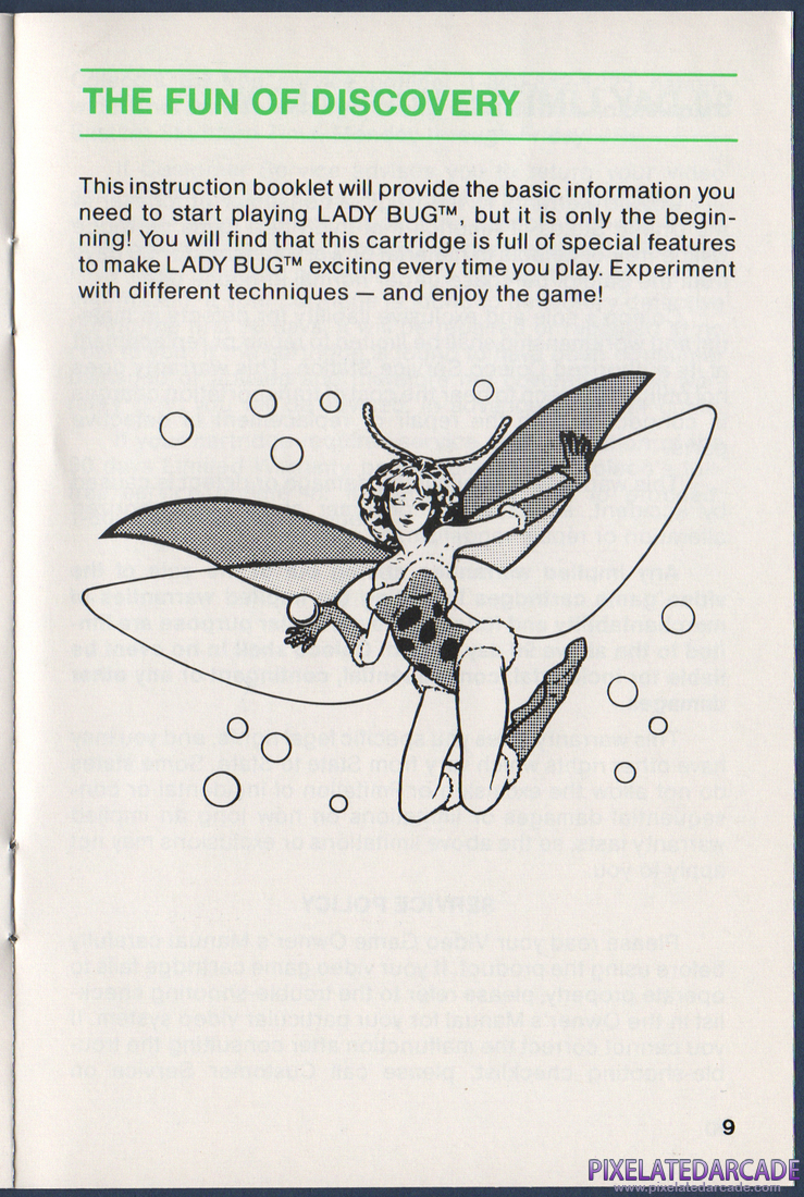 Lady Bug: Lady Bug Instruction Manual - Page 9