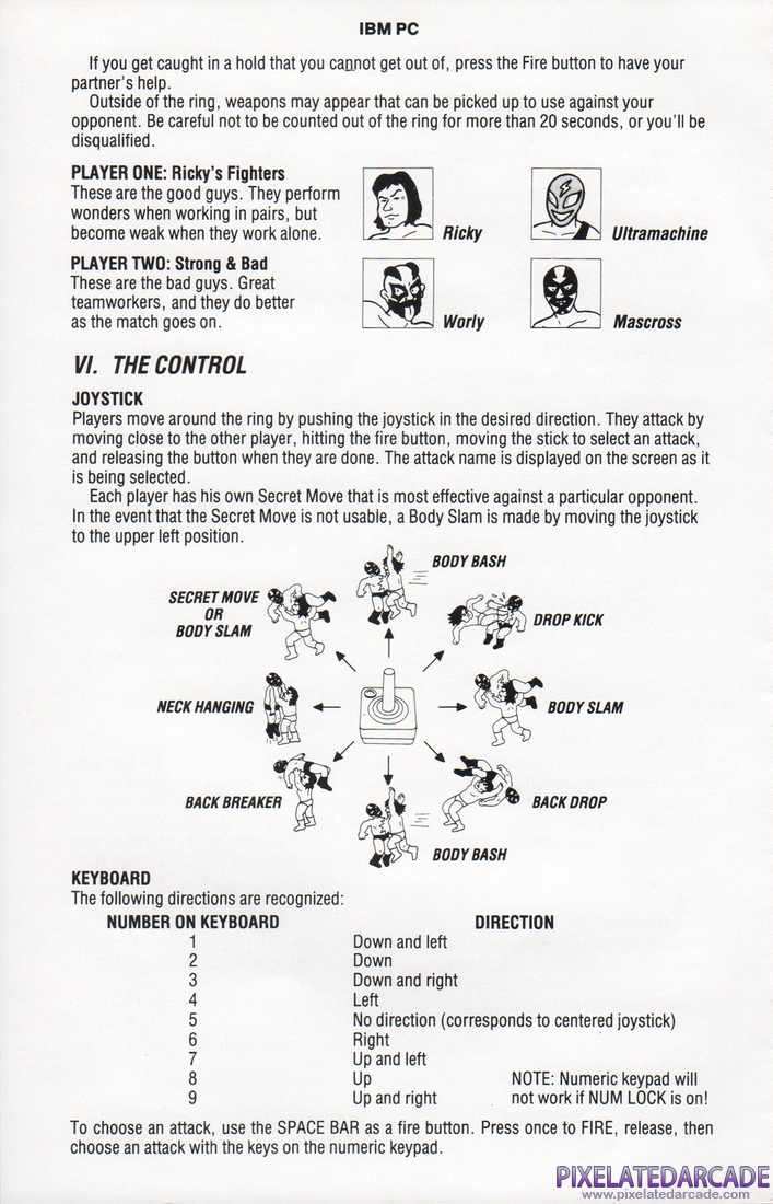 Tag Team Wrestling: Instruction Manual - Page 2