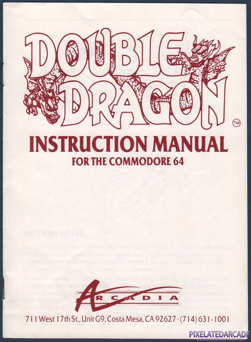 Double Dragon: Instruction Manual - Page 1