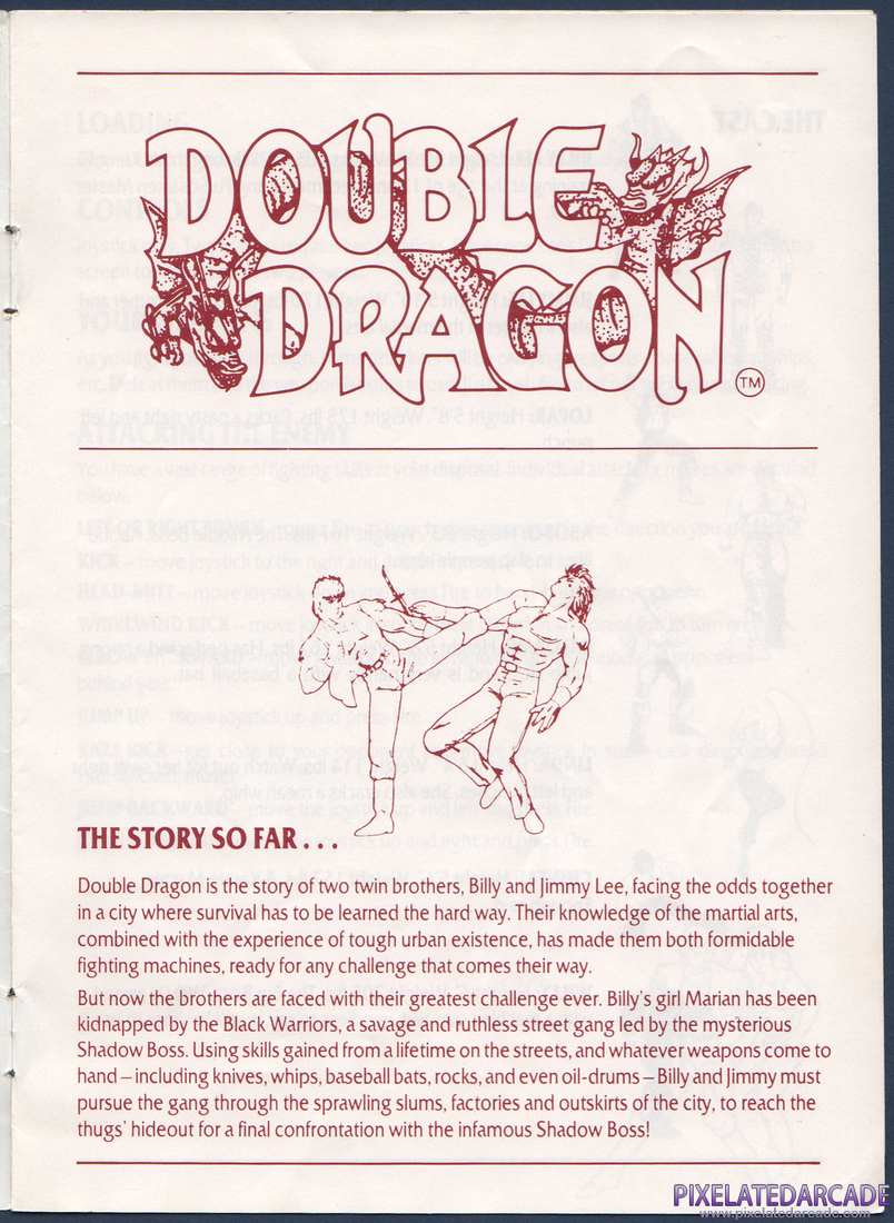 Double Dragon: Instruction Manual - Page 2