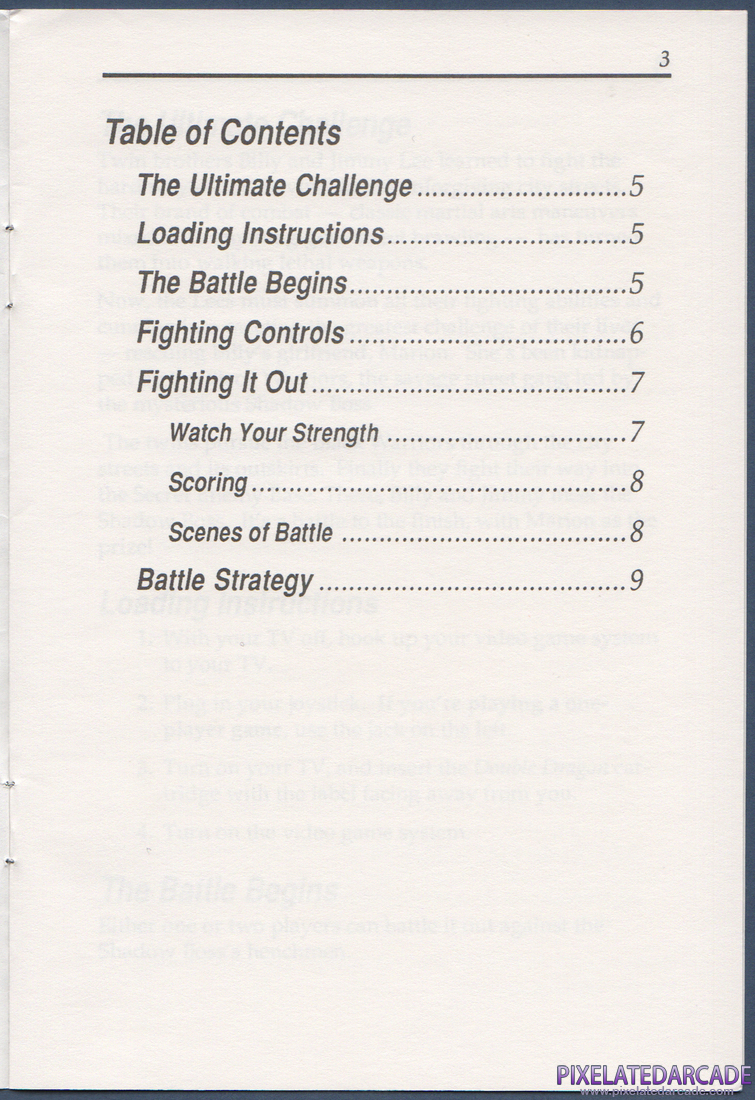 Double Dragon: Instruction Manual - Page 3