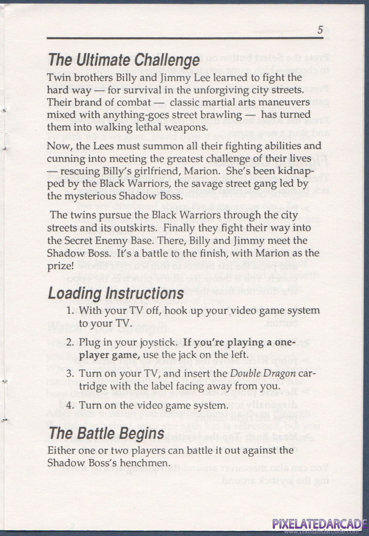 Double Dragon: Instruction Manual - Page 5