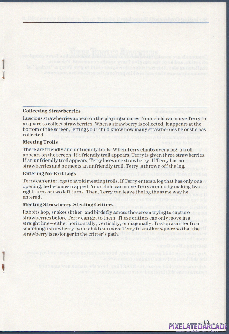 Terry Turtle's Adventure: Instruction Manual - Page 13