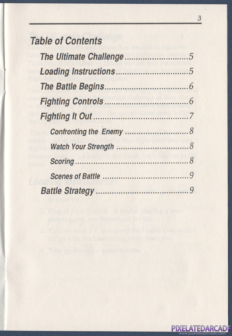 Double Dragon: Instruction Manual - Page 3