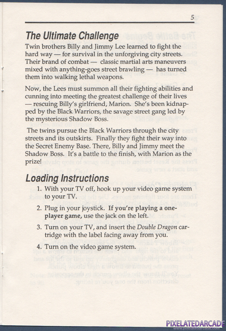 Double Dragon: Instruction Manual - Page 5