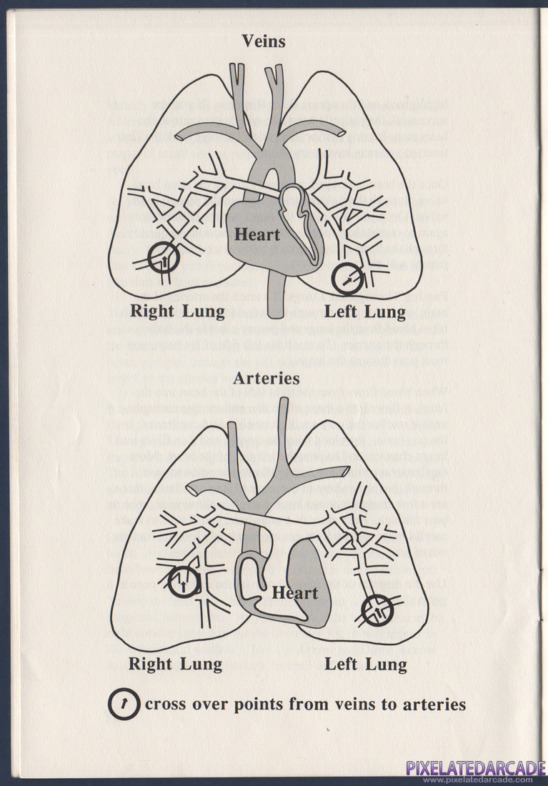 Laser Surgeon: The Microscopic Mission: Instruction Manual - Page 22