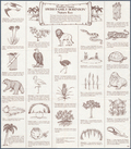 Nature Key Scan