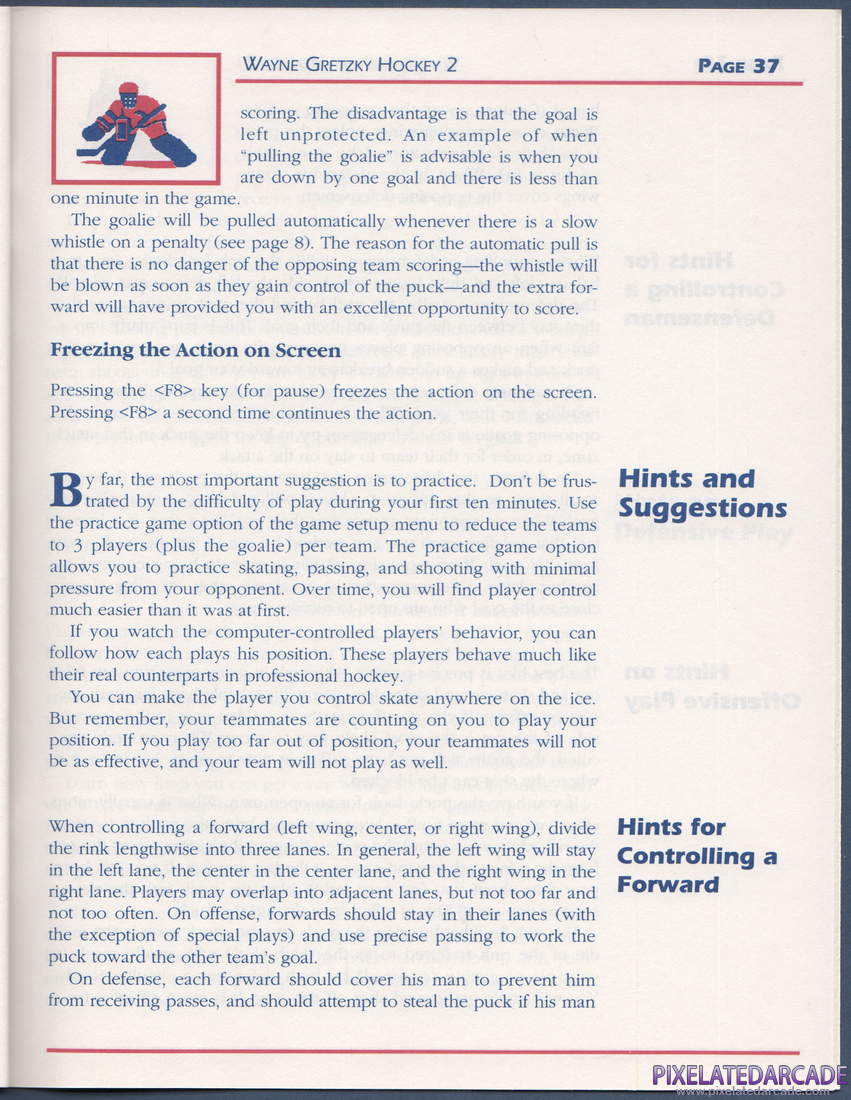 Wayne Gretzky Hockey 2: Instruction Manual - Page 37