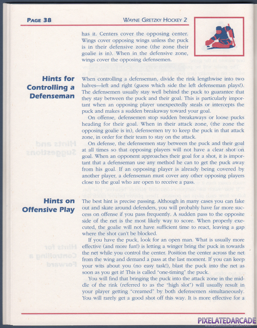 Wayne Gretzky Hockey 2: Instruction Manual - Page 38