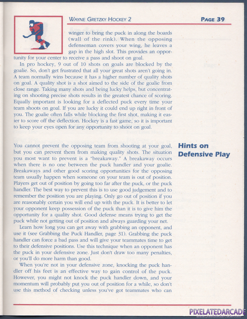 Wayne Gretzky Hockey 2: Instruction Manual - Page 39