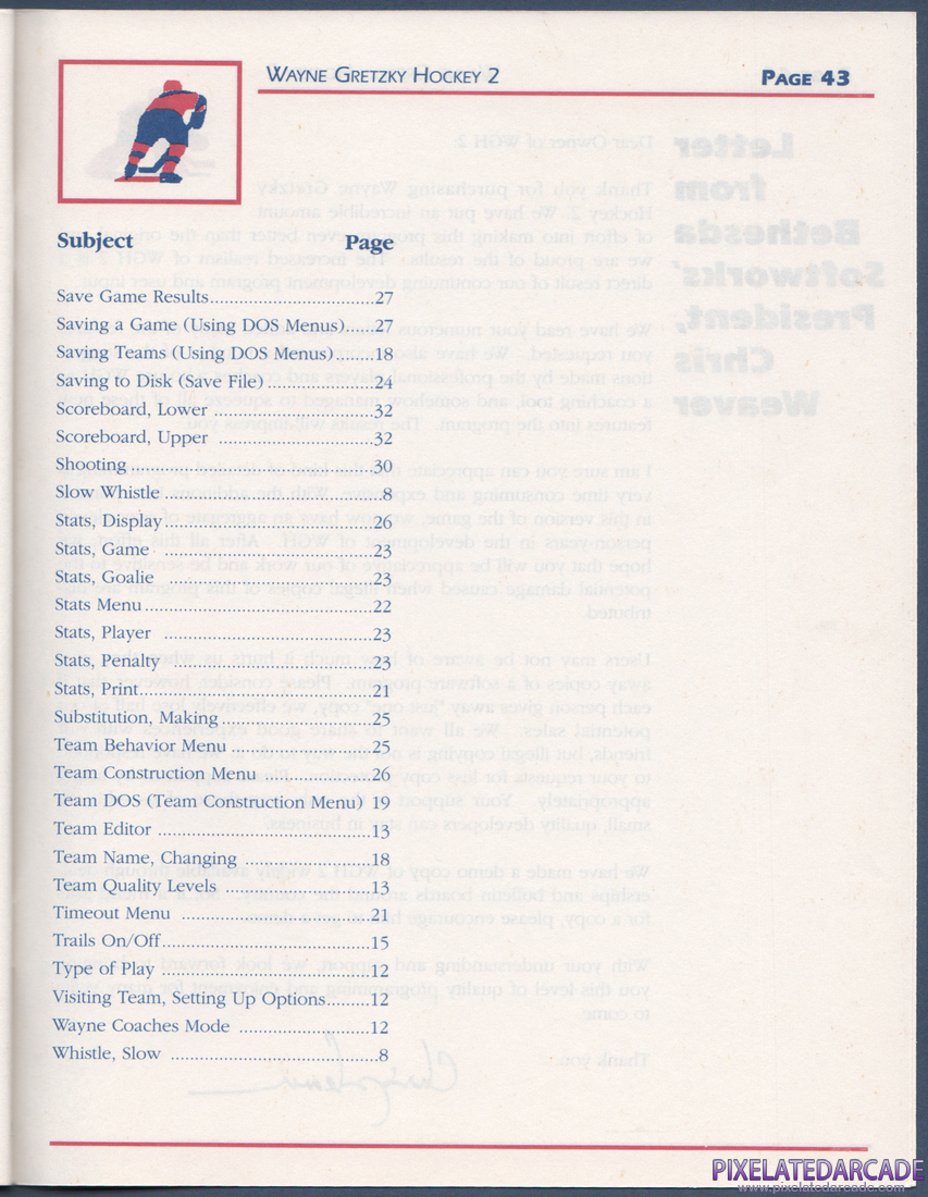 Wayne Gretzky Hockey 2: Instruction Manual - Page 43