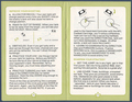 Pages 8 - 9