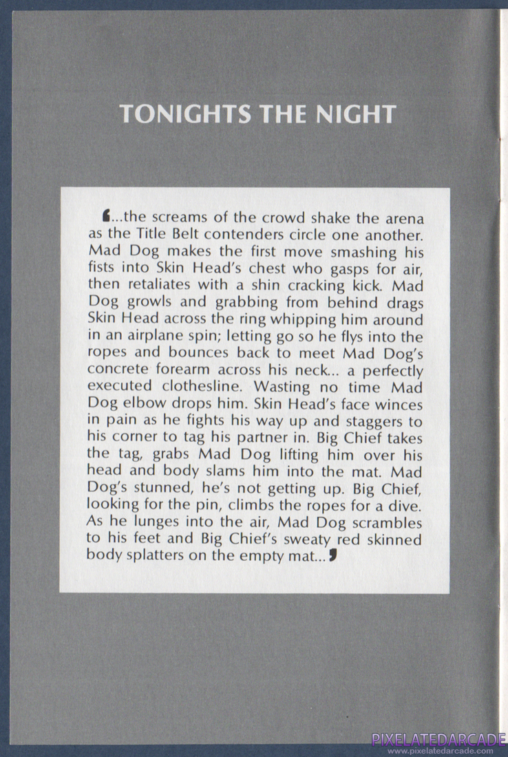 Title Match Pro Wrestling: Instruction Manual - Page 2