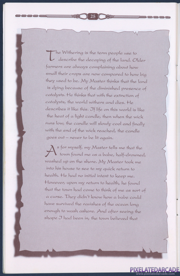 Prophecy of the Shadow: Instruction Manual - Page 25