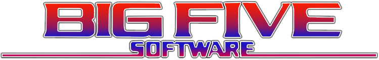 Big Five Software logo