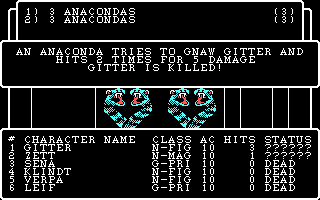 IBM PC version of Legacy of Llylgamyn