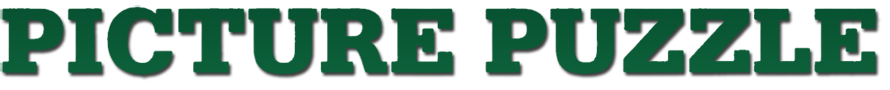 Picture Puzzle logo