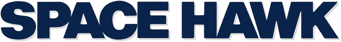 Space Hawk logo