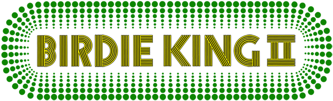 Birdie King II logo