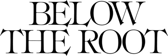 Below the Root logo