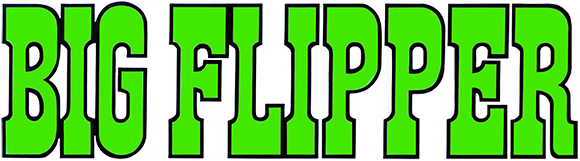 Big Flipper logo