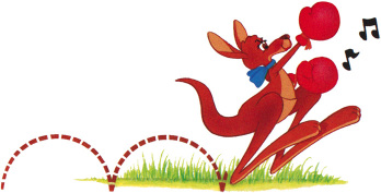 Kangaroo illustration