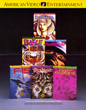 American Video Entertainment Inc. Flyer - Front