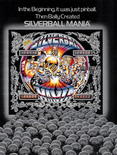Silverball Mania flyer page 1