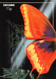 Farfalla flyer - Page 1
