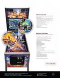 Standard Edition flyer - Back