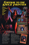 SSI Spring/Summer 1991 product catalog supplement