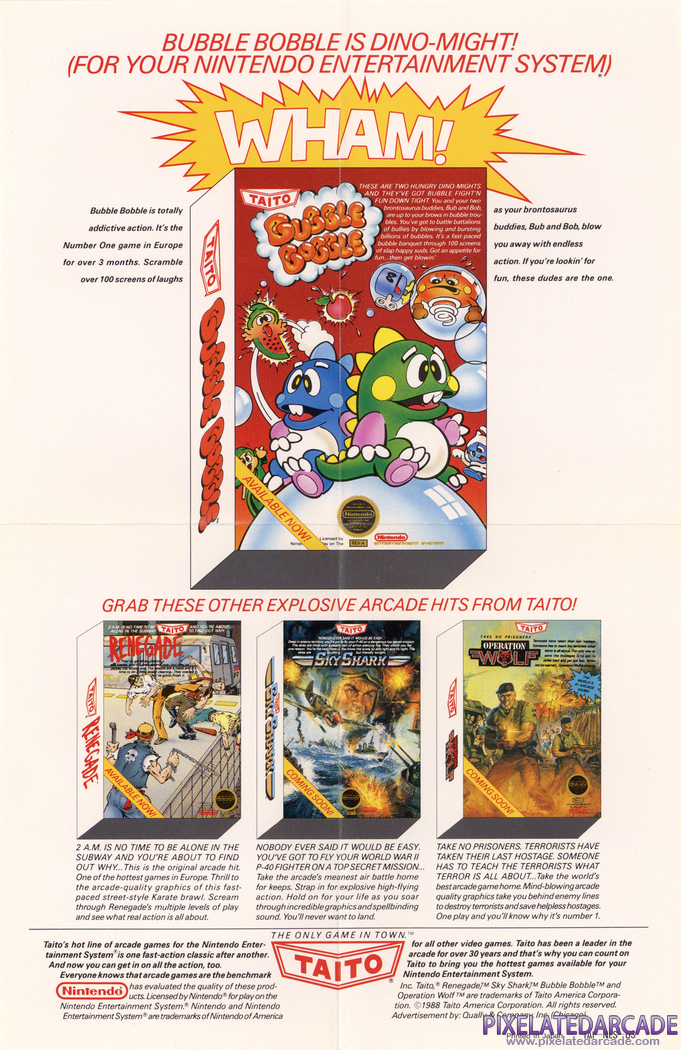 Renegade Advertisement: Taito 1988 NES flyer
