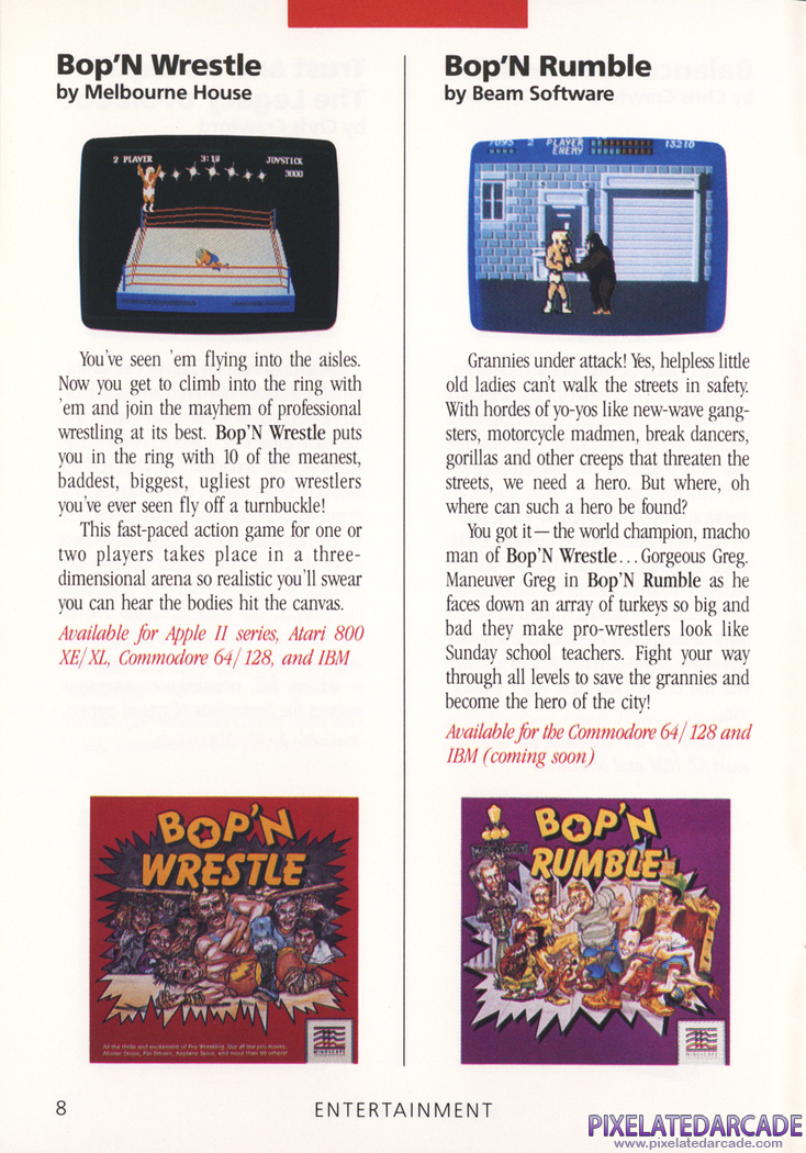 Bad Street Brawler Advertisement: Mindscape 1988 product catalog
