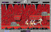 Altered Beast for IBM PC/Compatibles - You can kick or punch your opponents...