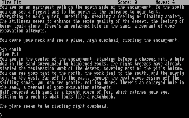 Infidel IBM PC/Compatibles Screenshot: A plane is circling overhead...
