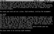 Infidel for IBM PC/Compatibles - A plane is circling overhead...